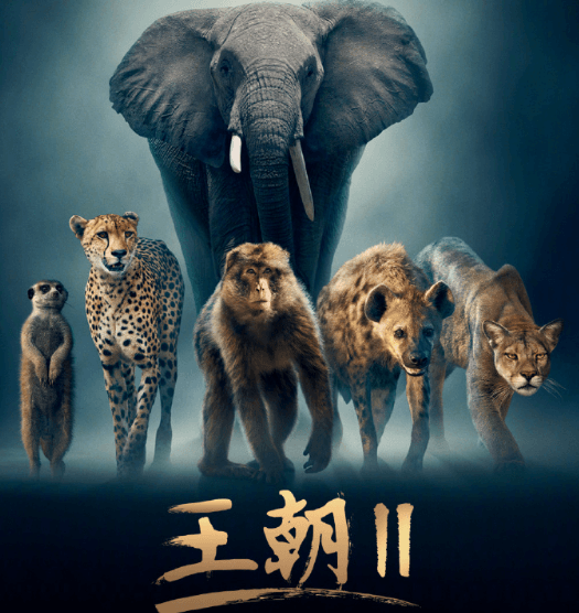 高考结束来看纪录片！纪录片王朝2正在热播