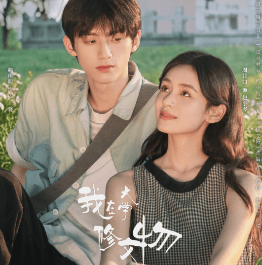 我在大学修文物定档0327，国外留学生看爱奇艺用什么加速器？