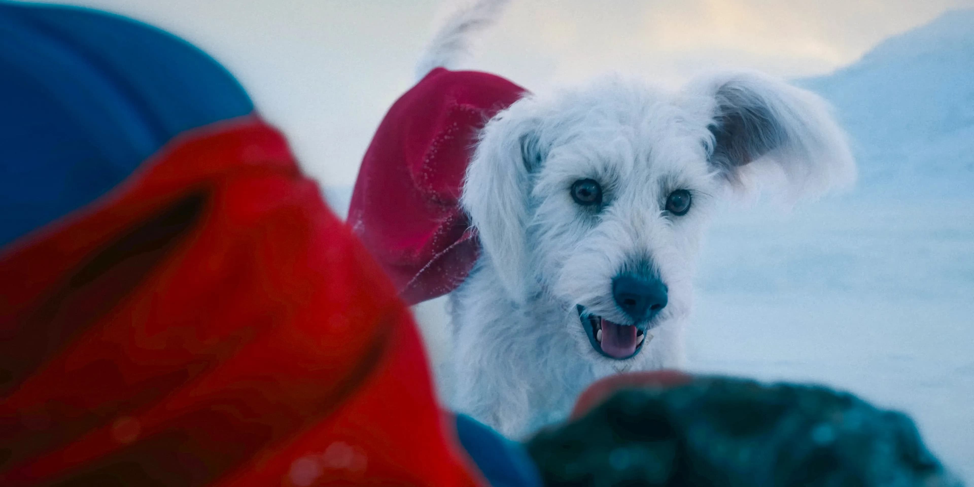 超人电影片段曝光:莱克斯·卢瑟与氪星英雄的首次正面对决