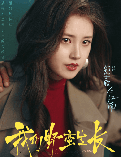 在国外看红果短剧我们野蛮生长地区受限如何解决?我们野蛮生长定档1107