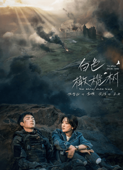 爱奇艺白色橄榄树:在爱与和平中绽放的浪漫之花