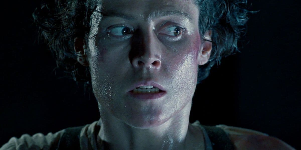 科拉莉·法尔雅:从《星球大战》粉丝电影到奥斯卡热门影片导演