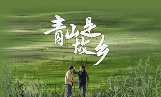 青山是故乡:央视一套黄金档开播,书写当代农村新画卷